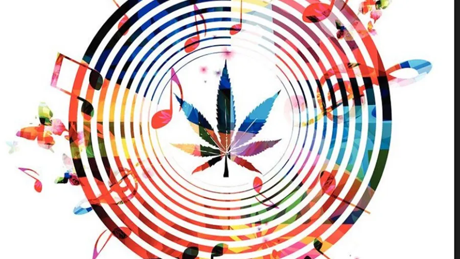 Música, cannabis y trascendencia: un viaje hacia el despertar interior